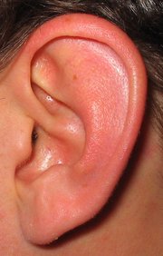 An attached human ear